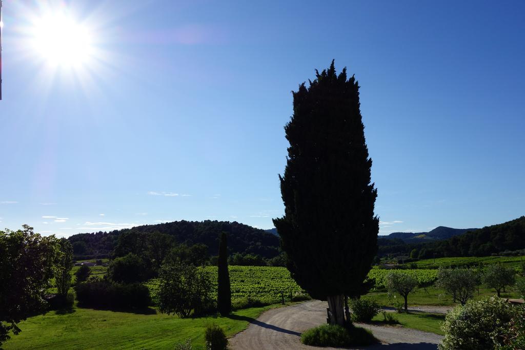 Bed and Breakfast Le Mas En Provence à Entrechaux Extérieur photo